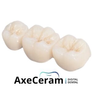 Couronne Monobloc Zircone Intégrale